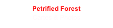 Petrified Forest
Cartes & Photos